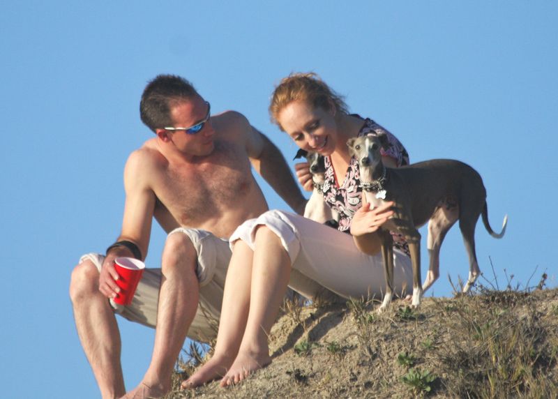 10 deeply attached dog breeds that stay glued to their humans constantly 10 Italian Greyhound