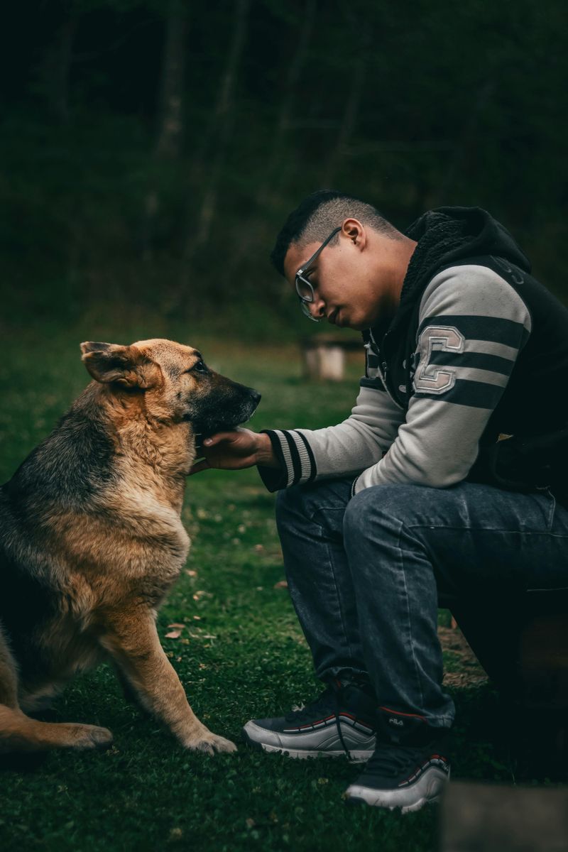 19 Dog Behaviors That Show How Well They Understand Human Emotions 5 Reacting differently to their owner’s moods