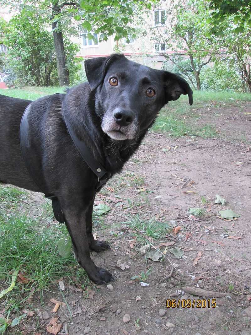 giving you one quick glance and then ignoring you