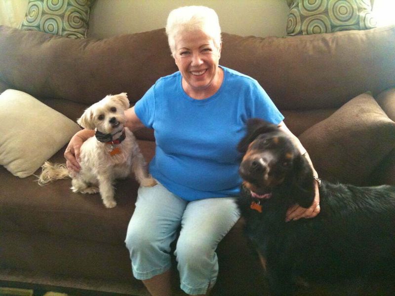 Cancer-related Odors