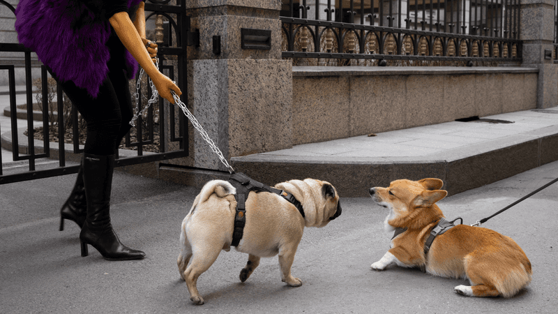 Walking differently