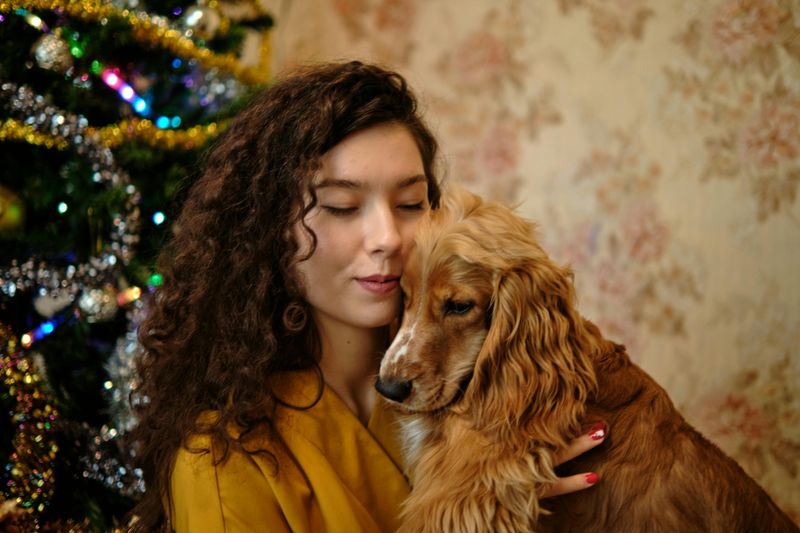 Cocker Spaniel