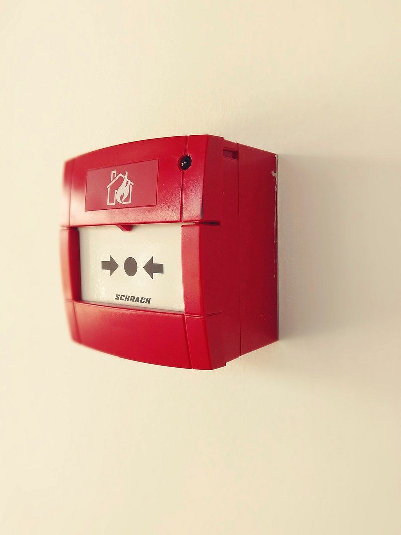 7 Everyday Sounds That Make Dogs Anxious and How You Can Help Them Feel Safe 6 Smoke Alarms and Beeping Devices