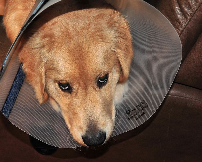 Fast shallow breathing