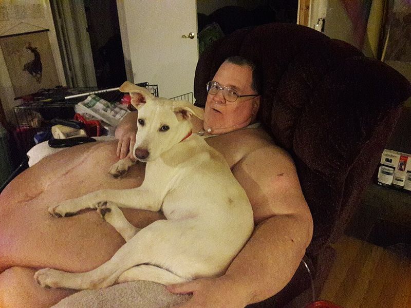 18 Quiet Ways Dogs Show Loyalty That Most Owners Completely Miss 15 Staying Nearby During Illness or Sadness