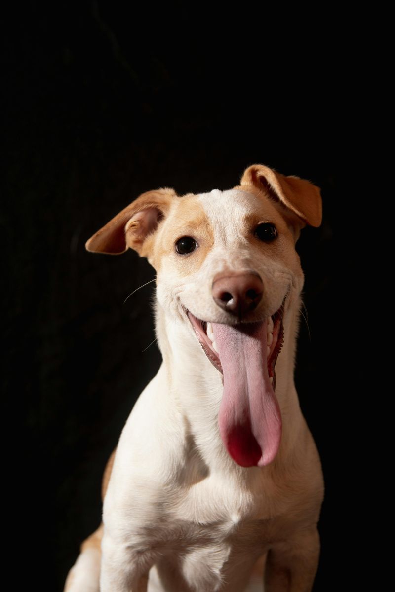 Express Excitement Freely