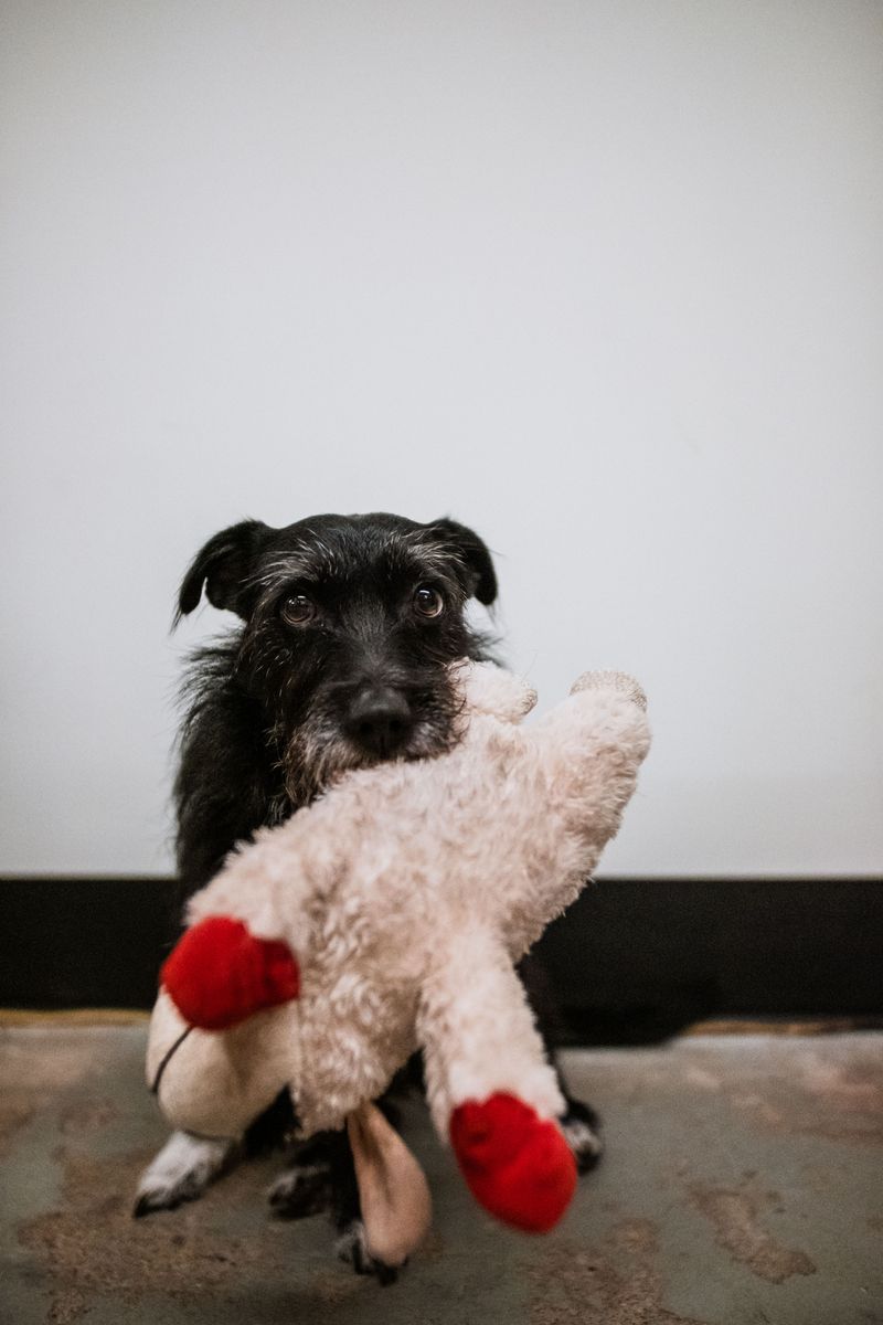 Bringing you toys and leaning in