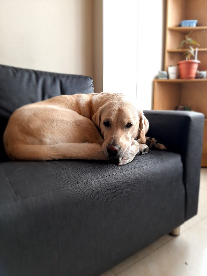 Stealing your spot when you stand up