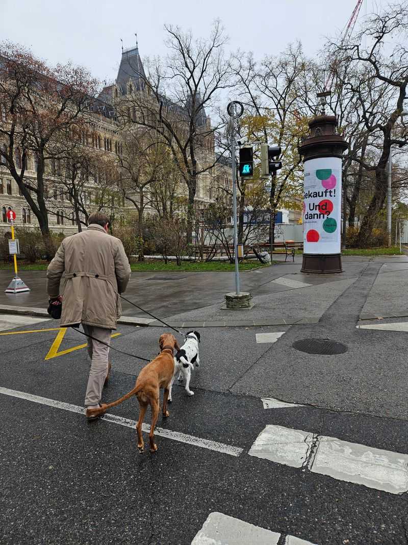 Overlooked clue: your walk routine is all gas, no brakes