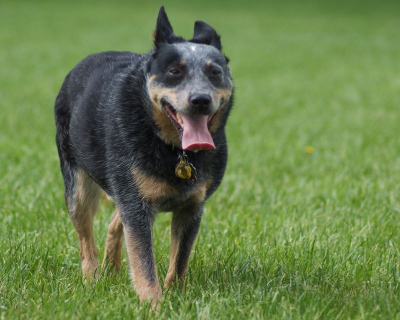 Require intensive mental stimulation