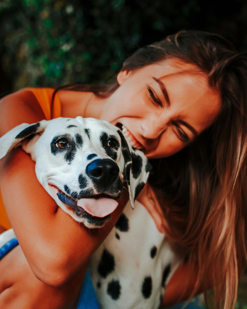 Dalmatian