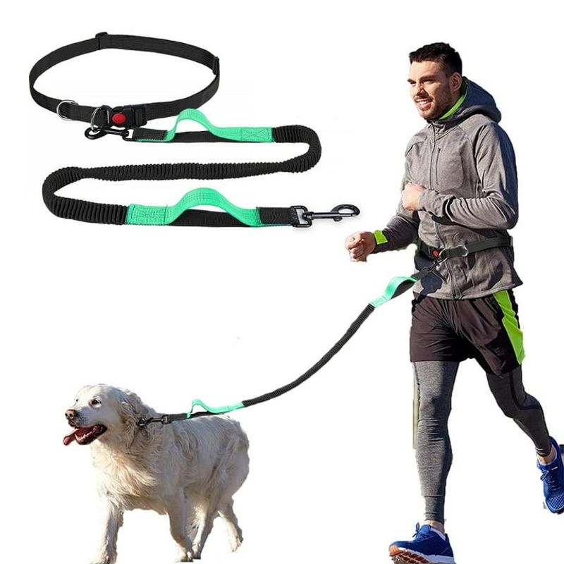 Hands-Free Waist Leash