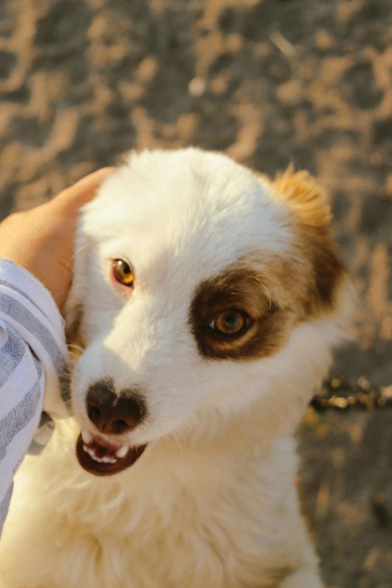 Avoid punishment or raised voices.