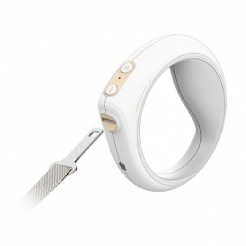 The Smart Leash