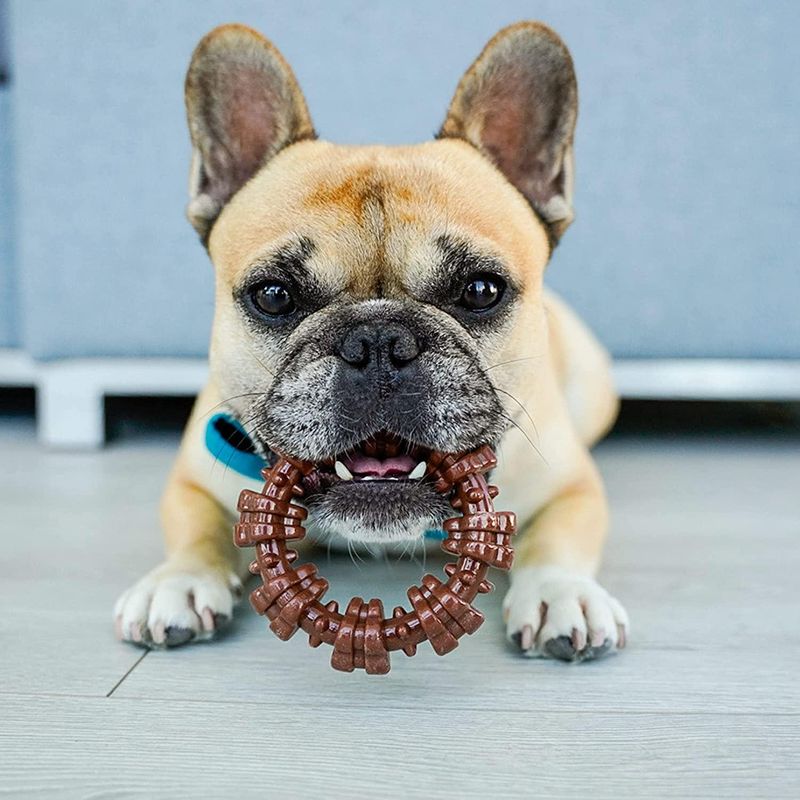 Nylabone DuraChew Textured Ring