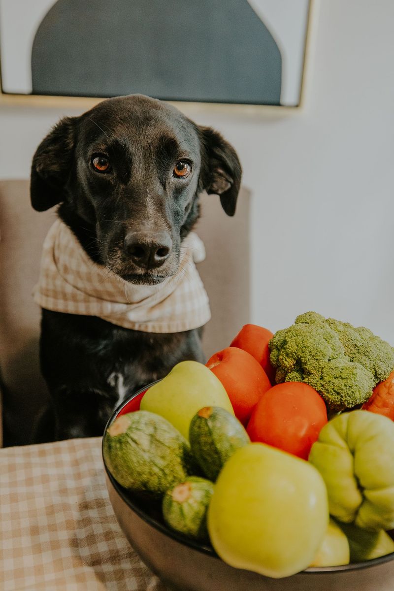Ignoring food sensitivities