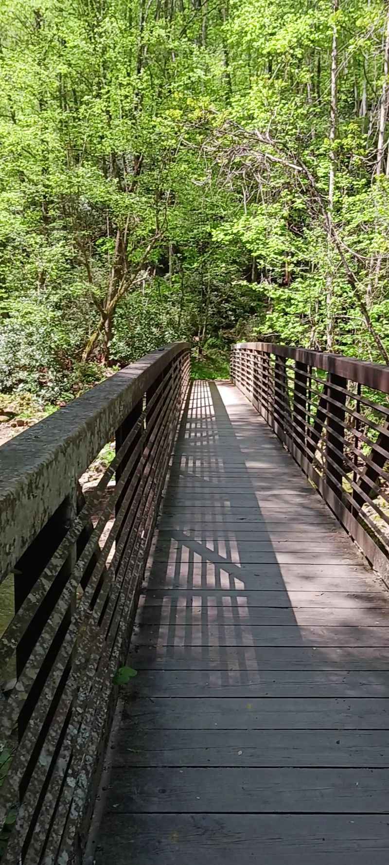 Craig Branch Falls, The Gorge's Tallest Drop
