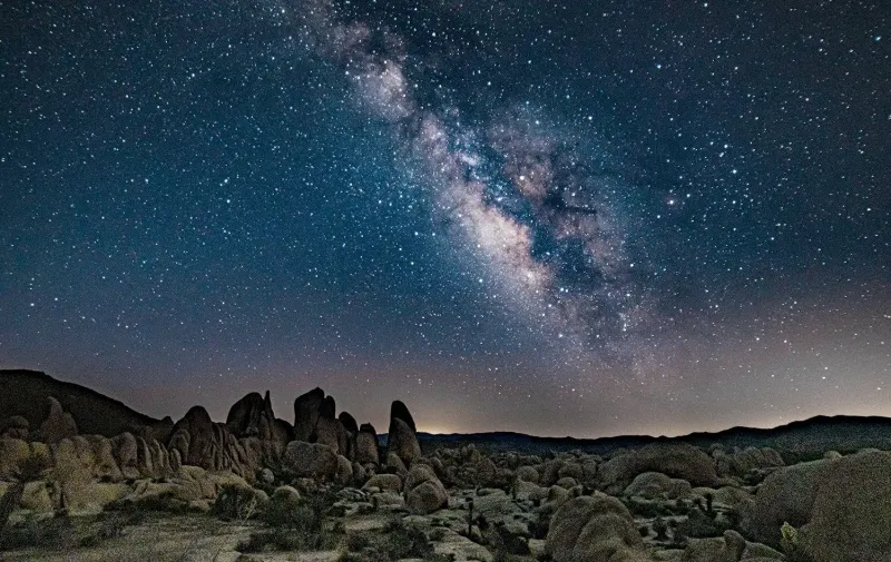 Joshua Tree: Desert Wonderland