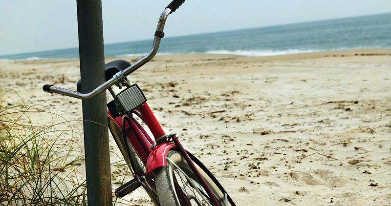 Navigate Island Transportation