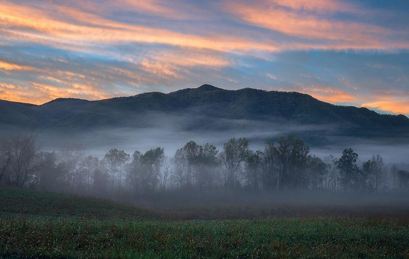 Great Smoky Mountains: Ancient Forest