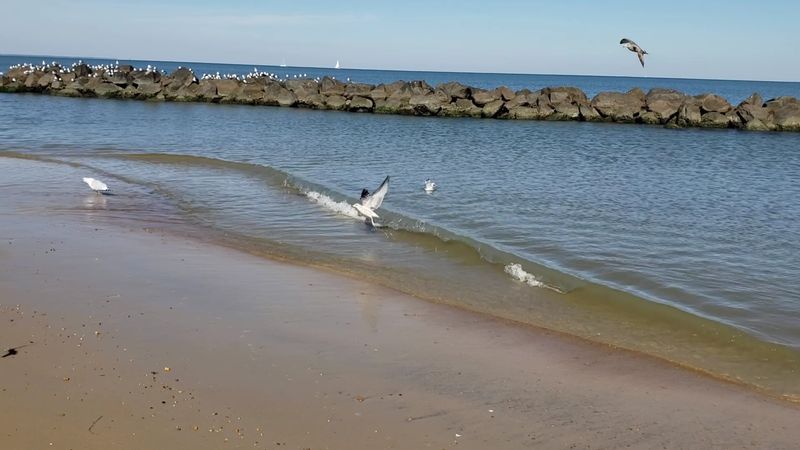 10th View, Ocean View, Norfolk