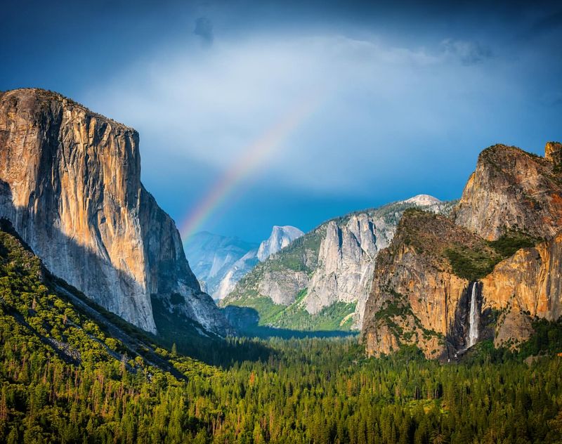 Yosemite: Valley of Giants