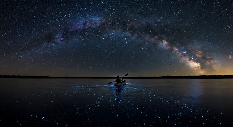 Moonlight Kayaking in Topsail Beach