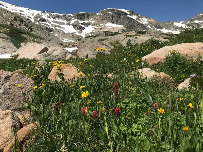 Rocky Mountain: Alpine Wonderland
