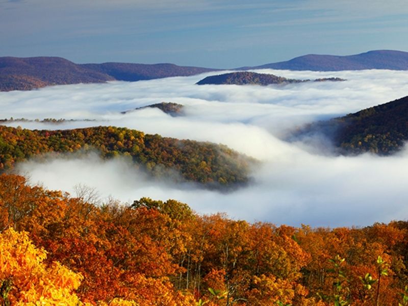 Shenandoah: Blue Ridge Beauty