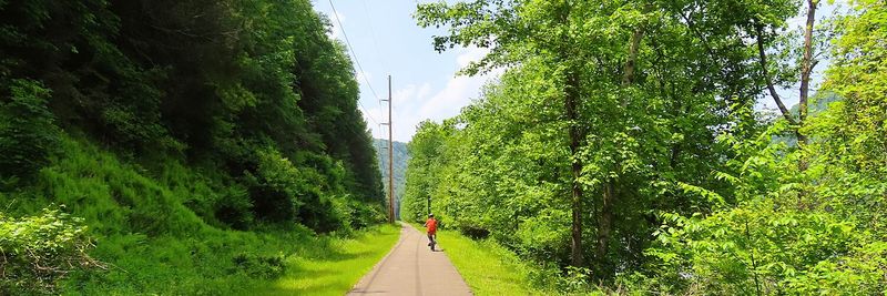 Borough Park And Easy Trails