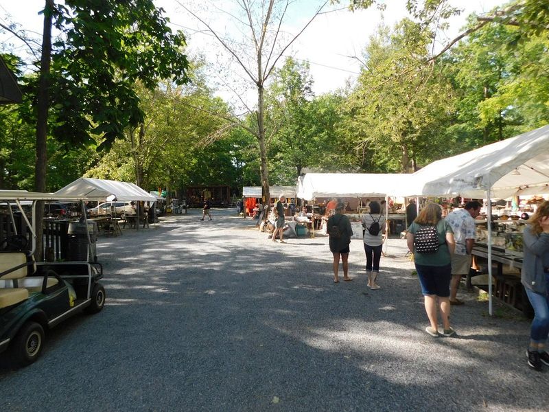 Shupp's Grove Antique Market: Woods, Finds, and Friendly Bargains