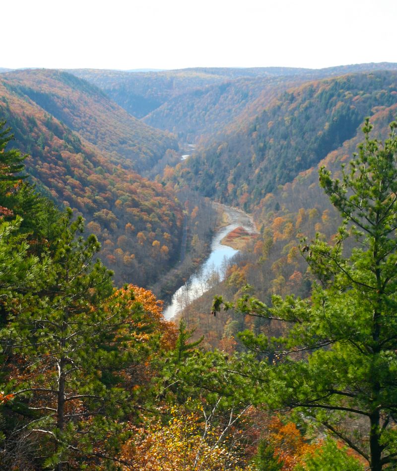 Pine Creek Gorge (Wellsboro)
