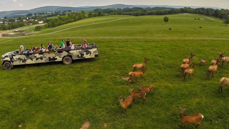 The landscape makes the whole visit feel more adventurous