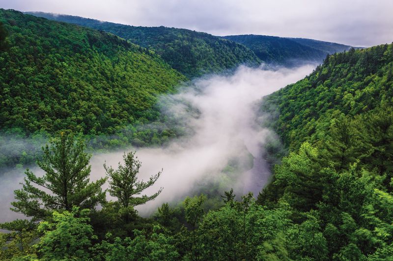 Pine Creek Gorge The Pennsylvania Grand Canyon
