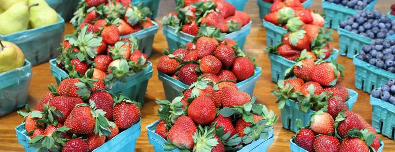 Brecknock Orchard, Mohnton