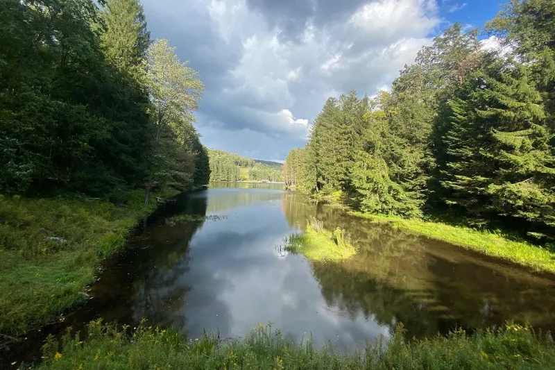 Tuna Valley Trails and the Marilla Bridges Loop