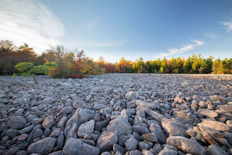 Boulder Field Trail, Hickory Run State Park, PA