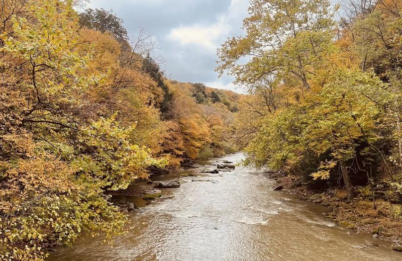 The Slippery Rock Gorge