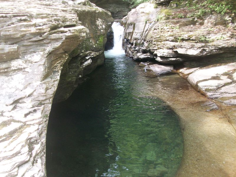 Keeping It Wild: Simple Etiquette That Matters