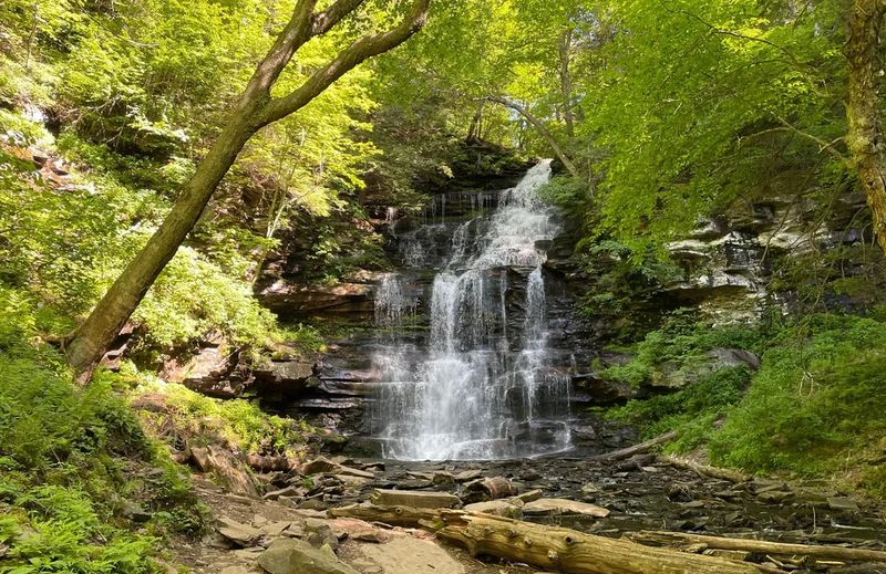 Ricketts Glen State Park (Benton)