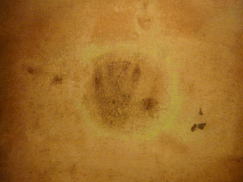 Cell 17 and the legendary handprint