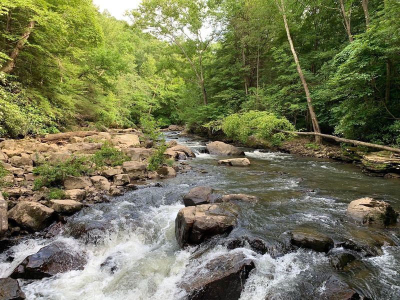Meadow Run Trail, Ohiopyle State Park, PA