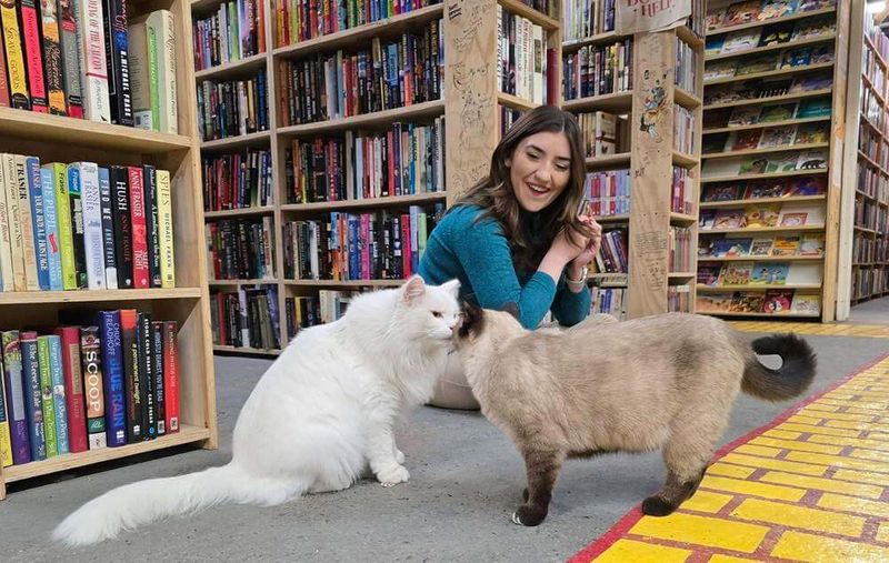 Friendly staff make browsing easy