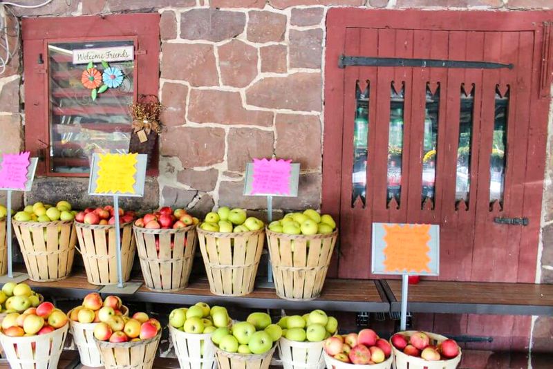 There is a sense of abundance here that surprises first-time visitors