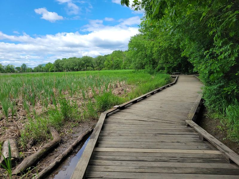 North Boardwalk, Wildwood Park