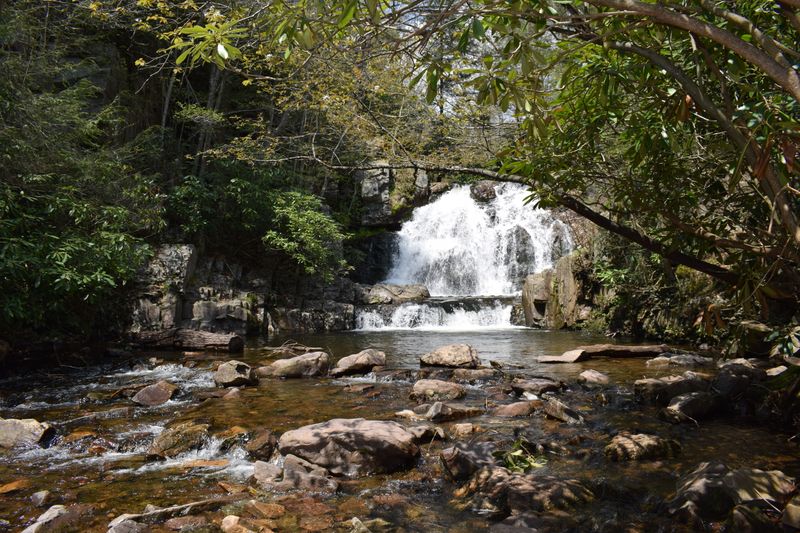 Hickory Run State Park (White Haven)