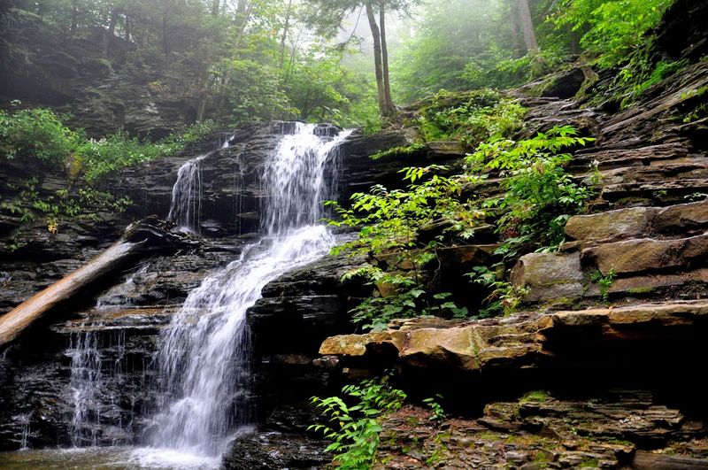 Ricketts Glen Falls Trail Loop (Benton)