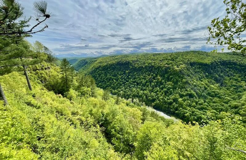 Pine Creek Gorge (Wellsboro)