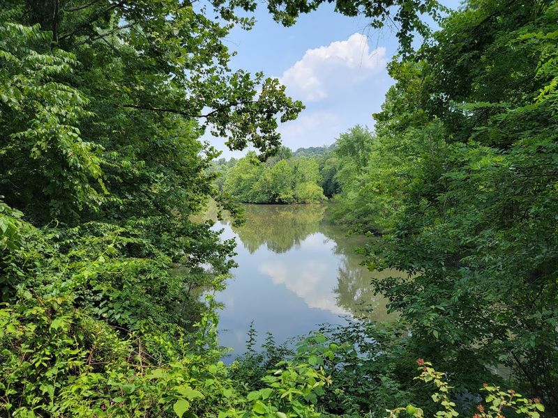 Meadow Path and Black Rock Dam Views