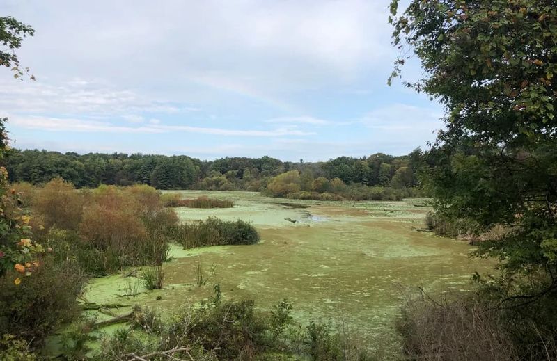 Spillway Trail, Pymatuning State Park
